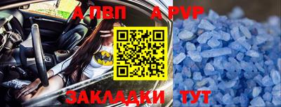 прущие грибы Малгобек